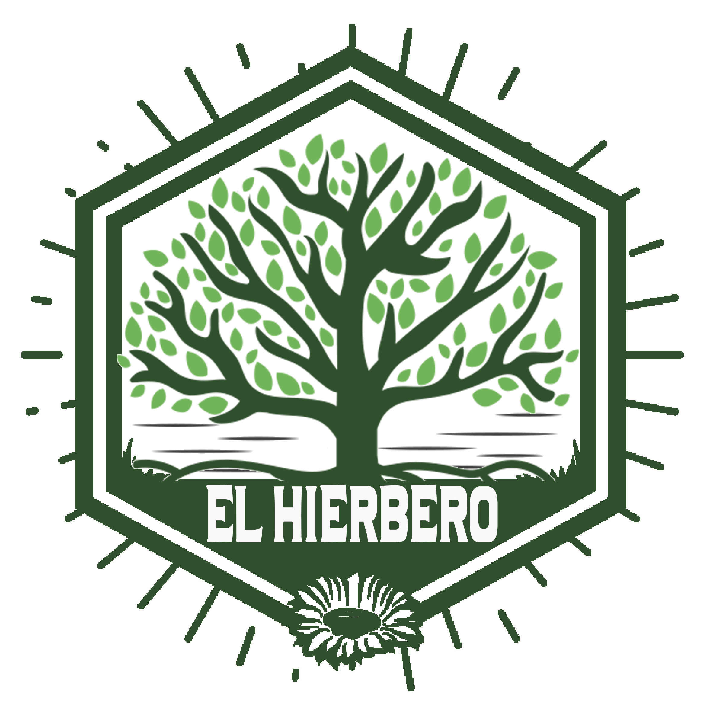 elhierberomx.com